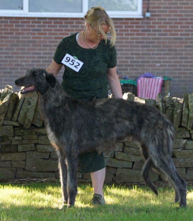 Best Puppy Houndshow 2021